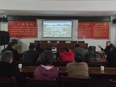县烟草专卖局：政策落地反响好　讲好“开春第一课”