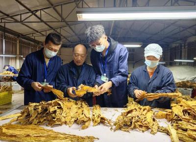 县烟草专卖局建立“一对一”师徒结对机制