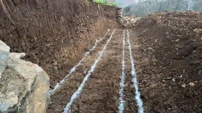 茅坪河幸福河湖建设提速增效