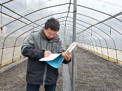 县烟草专卖局：精准监测棚内环境 护航烟叶育苗生长
