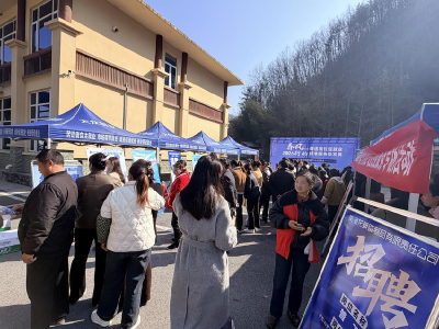 ​板桥镇：春风送岗暖民心 党群服务促就业
