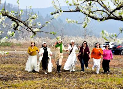 “李”花接力樱桃花　大山深处游人醉