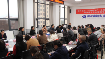 我县召开“聚力建设‘一县四地’　巾帼同行筑梦新程”女企业家新春座谈会  