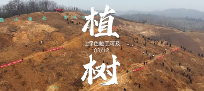V视频丨植树造林 绿美南漳 