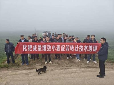 九集镇开展化肥减量增效小麦促弱转壮技术培训