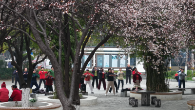 “口袋公园”装满市民“微幸福”  