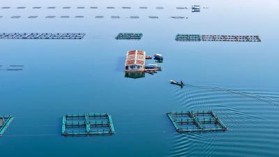 中部崛起，湖北靠什么担重任？