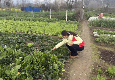 ​文峰塔社区开展禁种铲毒活动