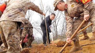 陈栋等县“四大家”领导参加义务植树活动