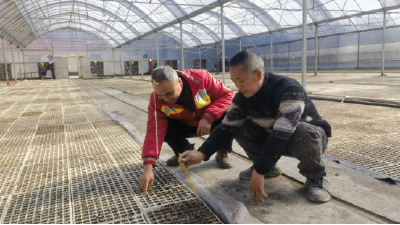 县烟草专卖局：技术沉下去　服务提上来
