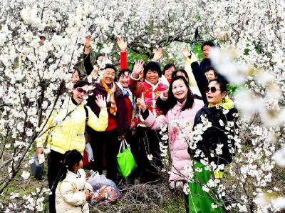 春满山野花满枝　踏春打卡正当时