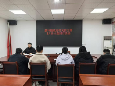 薛坪镇机关团支部开展3月份主题团日活动