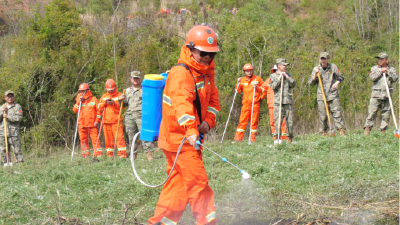 城关镇组织开展森林防灭火应急演练活动