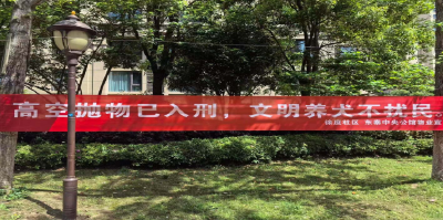徐庶社区开展“文明养犬 拒绝高空抛物”主题宣传活动