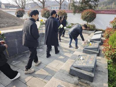 薛坪镇开展清明祭扫活动