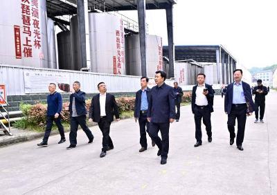 上海企业家考察团到我县开展产业交流活动
