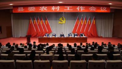 陈栋在县委农村工作会议上强调 奋力打造湖北特色农业基地 为加快建成全省绿色发展标杆县贡献更大“三农”力量 李恒主持会议