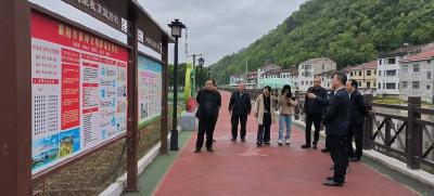 市联合调研组到东巩镇调研指导健康乡镇建设工作