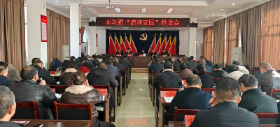东巩镇扎实推进“清洁家园”行动