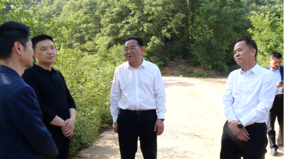 县领导调研督办重点项目建设推进工作