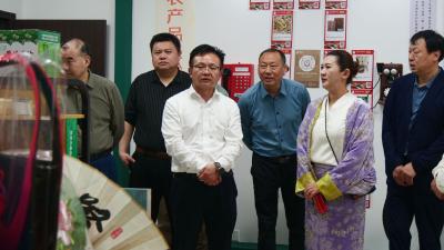 县领导到九集镇调研乡村振兴“四项行动”工作推进情况  