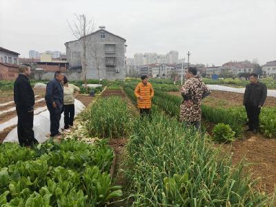 花石桥村：现场勘定边界　用心调解纠纷