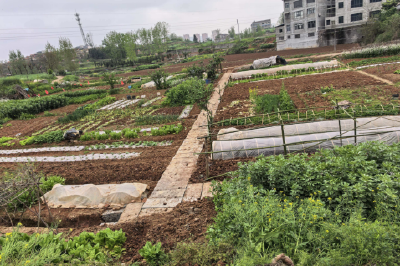 花石桥村：疏通沟渠解民忧 为民办事显担当