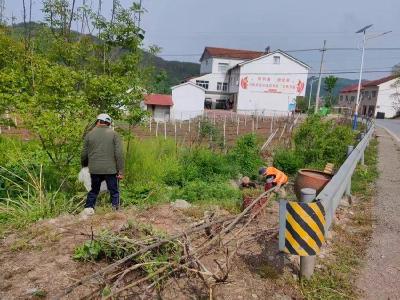 石峡坪村：清洁家园齐动手　人居环境展新颜