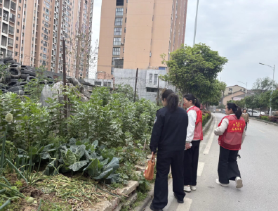 金庙社区开展禁种铲毒行动