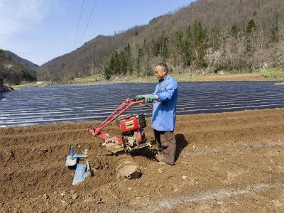 ​县烟草专卖局：抓实“三先”技术　筑牢烟叶生产春耕基础
