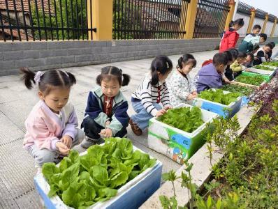 ​县第三幼儿园：春种一粒籽 收获满庭芳