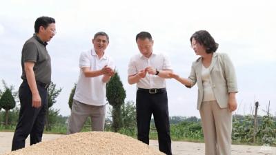 陈栋在武安镇调研时强调：务实重行 标本兼治 统筹抓好环境保护和“三夏”生产 