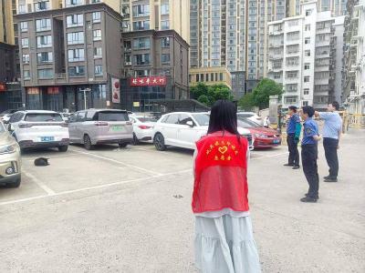 南漳县玉印社区开展不文明养犬行为专项整治行动 