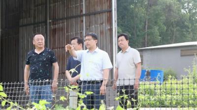 李恒到城关镇检查督导生态环保和防汛抗旱工作 