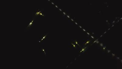 夜战抢收 雨隙夺粮 清河管理区的麦收不眠夜