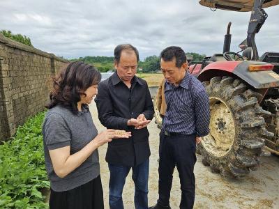 襄阳市农业农村局指导南漳县夏收工作 