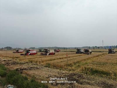 南漳县开展2026年小麦机收减损竞赛比武活动 