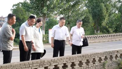 陈栋到九集镇检查工作时强调：统筹高质量发展和高水平安全，坚决打赢污染防治和防汛抗旱硬仗 
