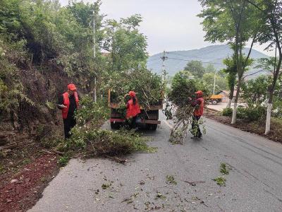 ​县公路中心：修剪行道树　畅通行车路