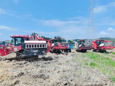 南漳县清河管理区：抢抓农时战阴雨 凝心聚力保夏收 