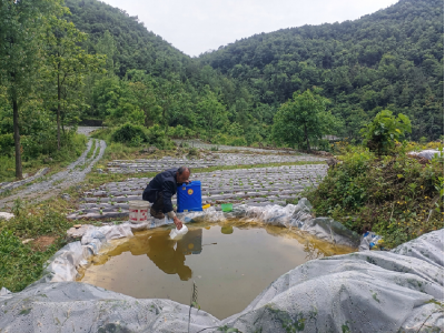 县烟草专卖局搭建多元供水网络精准抗旱