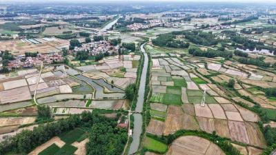 南漳县安乐堰村：稻田里藏着最鲜活的夏日烟火 