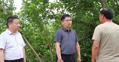 李恒在城关镇调研时强调：扎实抓好生态环保工作 以实干举措推动问题整改 
