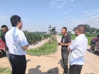 南漳农商行安集支行：深耕惠农结算 护航夏粮收购 