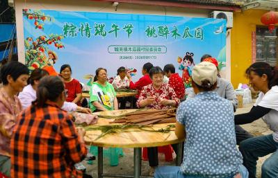 南漳：粽情端午节 桃醉木瓜园 