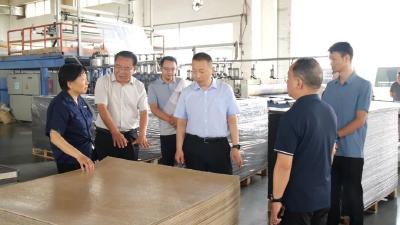 陈栋调研重点项目时强调：以更大力度更实举措抓好项目建设 持续筑牢高质量发展“强引擎”和“硬支撑”