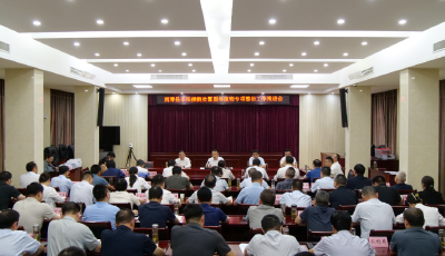 陈栋：扎实推进非法倾倒处置固体废物专项整治工作 全力守牢生态环保底线