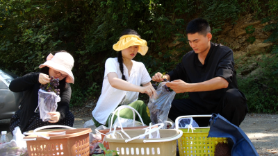 李庙镇刘坪村：葡萄熟了　日子甜了  