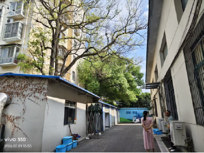 南漳县花石桥社区:清枯枝除隐患保平安 