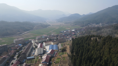 “头雁”扎根卞和故里　链条贯通乡村沃土  